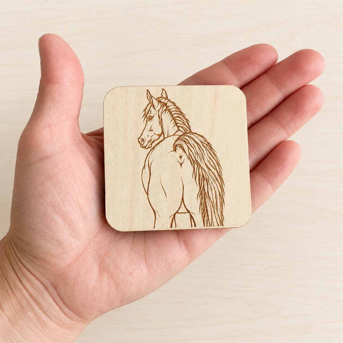 Funny Horse Butthole Magnet