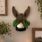 Between The Ears Mule Plant Shelf