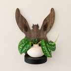 Wooden Plant Display Shelf Mule Ear Design Rustic Wall Organizer Farmhouse Home Decor Between The Ears Shape Equestrian Lover Gift Trail Rider Barn Accent Laser Cut Construction Country Style Essential Housewarming Present Animal Themed