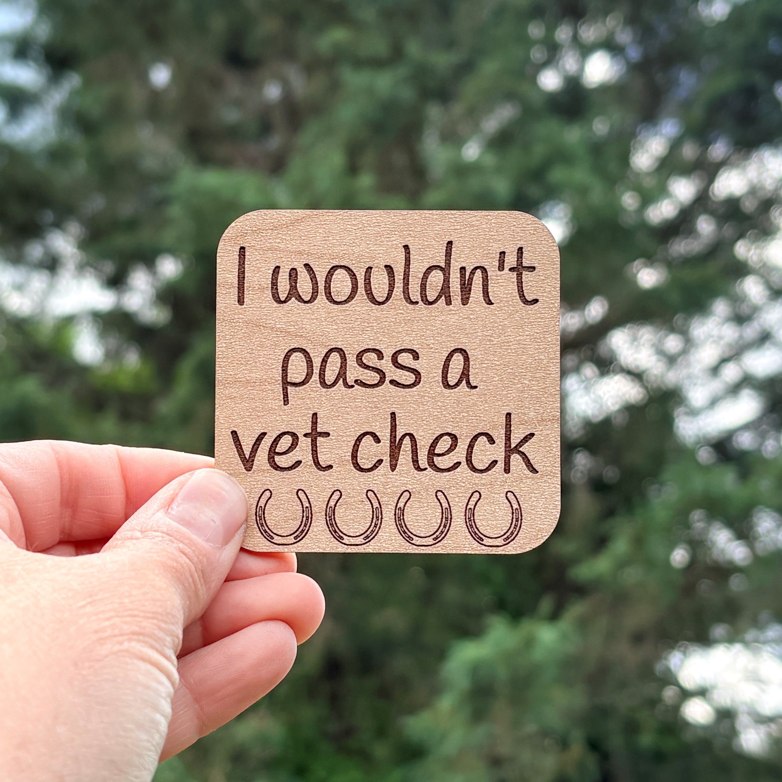 I wouldn't pass a vet check Magnet